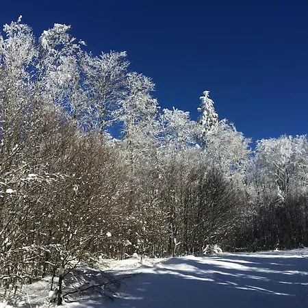 Au Nid'elma Alojamento de Acomodação e Pequeno-almoço